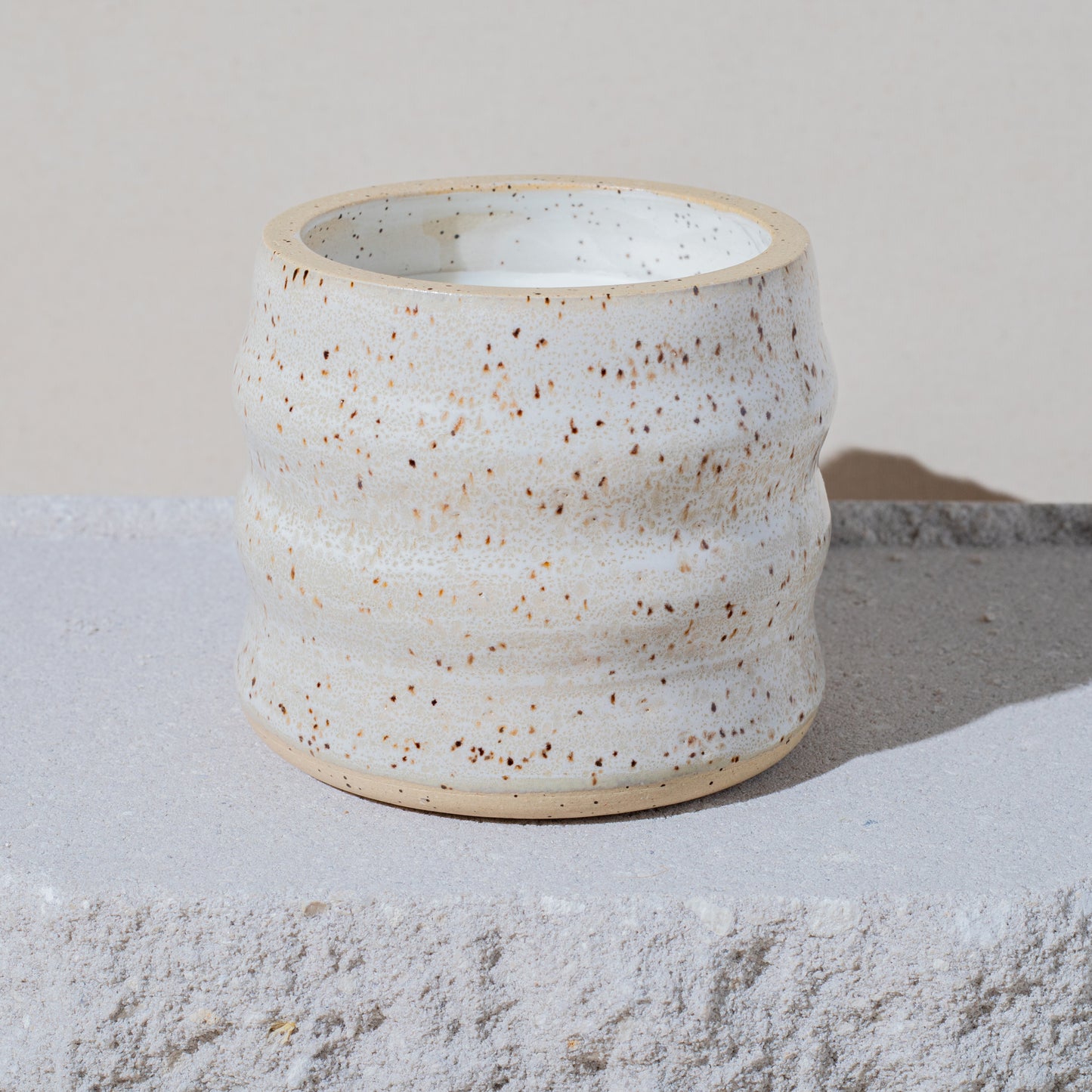 Sea Salt, Lemon + Driftwood | Artisan Scented Candle