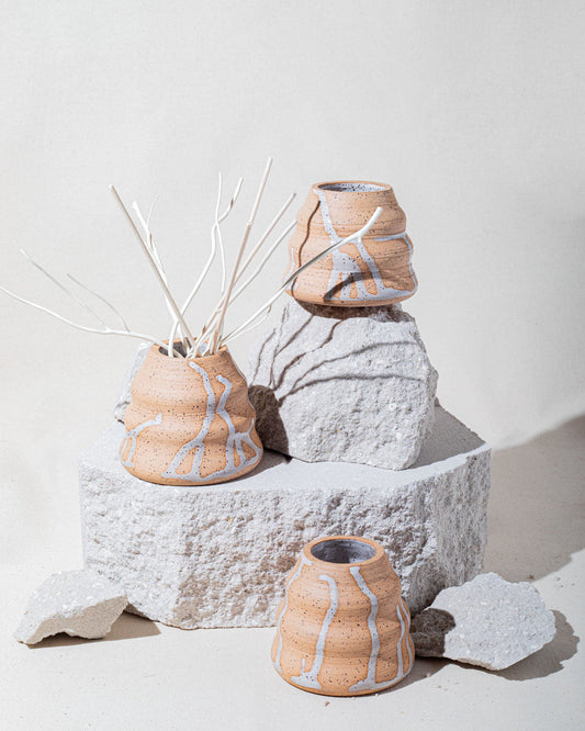 Bare Reed Diffuser + Scent - Carla Zancanaro Studio